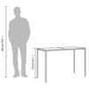 VidaXL Table de Jardin Dessus en Verre, Table à Manger, Table de Repas, Meuble de Patio Balcon Terrasse Extérieur, Gris 365079