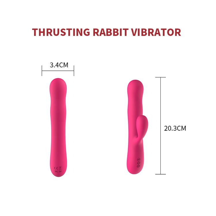 Adult Sex Massager Female Intimate Protection Vibrator G-Spot Vibration Climax Vibrator