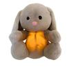 Coniglietto Respirante per Bambini Coniglietto Rilassante Peluche Giocattolo Bambini Compagni del Sonno Musica Rilassante Suono 1 Pezzo