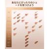 Skintific Full Coverage Cushion Foundation 00N Natural Porcelain 15g Satin Glow Finish Oil Control Waterproof