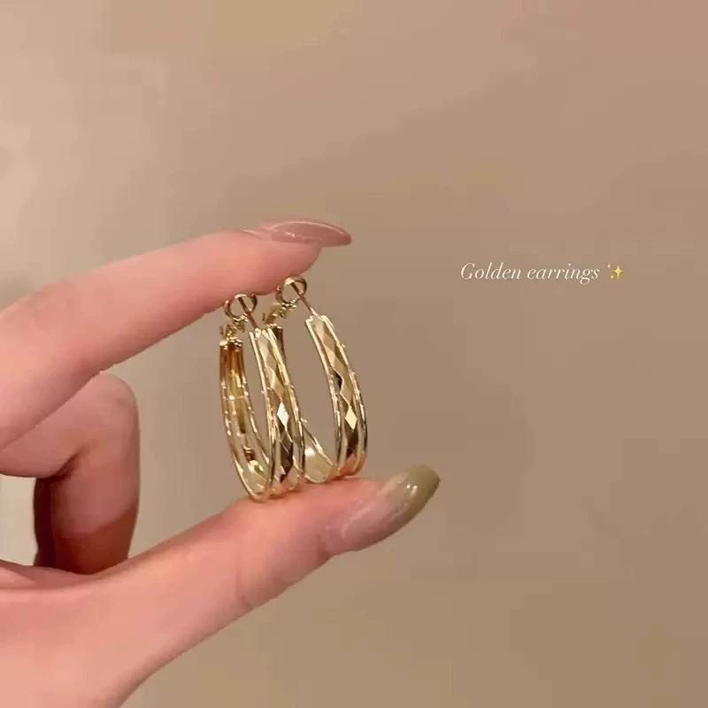 Brushed matte plain ring ear buckle female design earrings cold wind ear