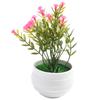 Simulation Gypsophila Small Potted Fake Flower Pot Artificial Flower Artificial Flower Ornament Brand New High Quality