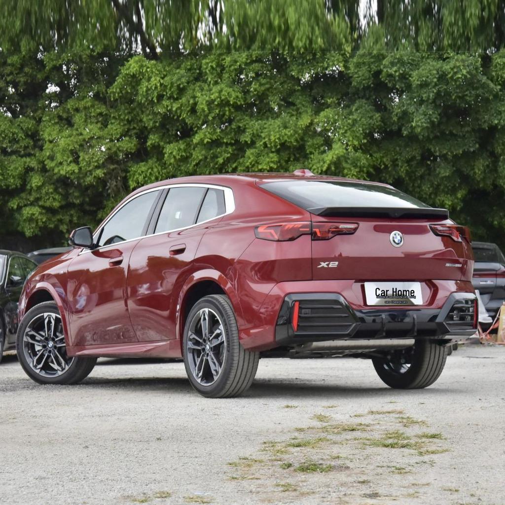 Punch-Free Mudguards for 24 BMW X2: Neutral, Moderately Soft Plastic