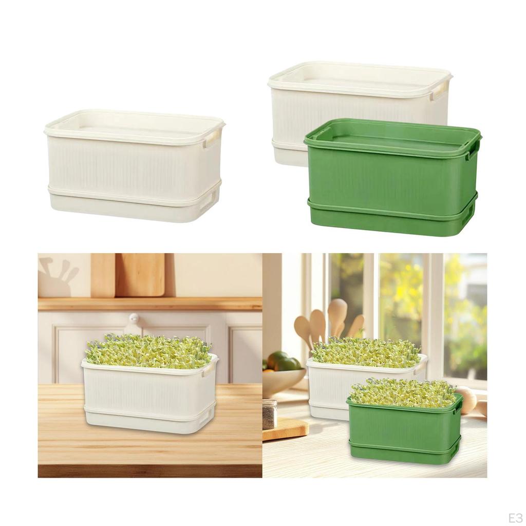 Sprouts Tray Growing Kit with Drain Holes Grower Storage Trays Sprouting Container Germination