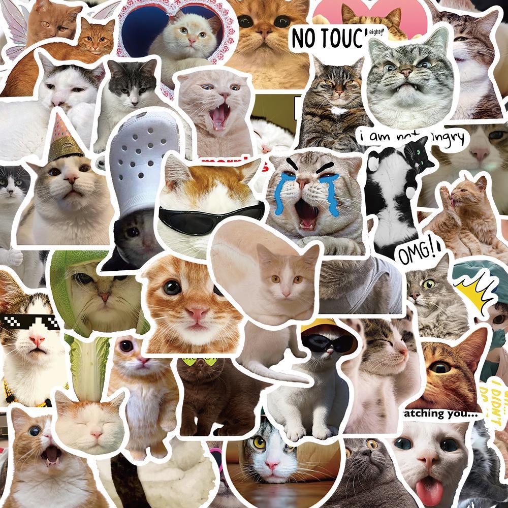 50 Hilarious Cat Expression Stickers for Phone Cases, Water Cups, and Skateboards - DIY Decoration