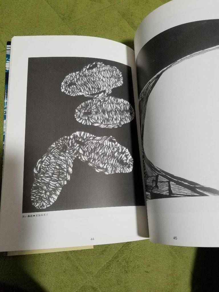 [USED] Shinichi Takahashi: Sado Print Village Collection