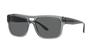 Sunglasses EA4197F TRANSPARENT GREY GREY Lens 57 [Emporio Armani] Frame/DARK