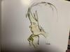 [USED] Art Book Set: Complete Works of Chihiro Iwasaki, 9 Volumes