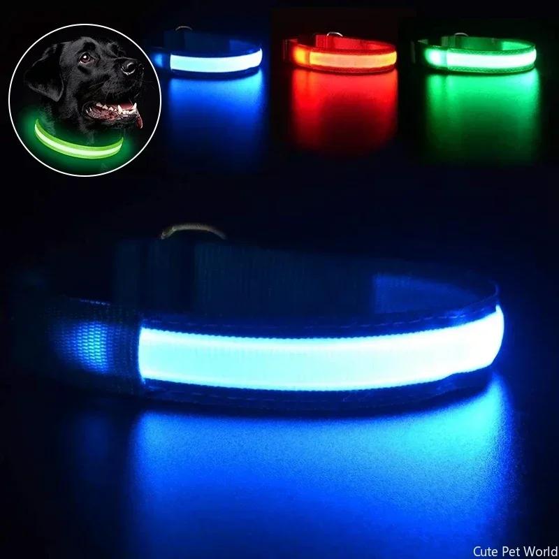 Haustier Hund LED Leuchtender Halsband USB Wiederaufladbar Nachtlicht Leuchtendes Blinkendes Halsband Anti-Verlust Outdoor Laufen Sicherheit Zubehör