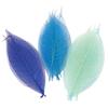 Squelettes de feuilles Assortiment Bleu 8 cm 20 pièces
