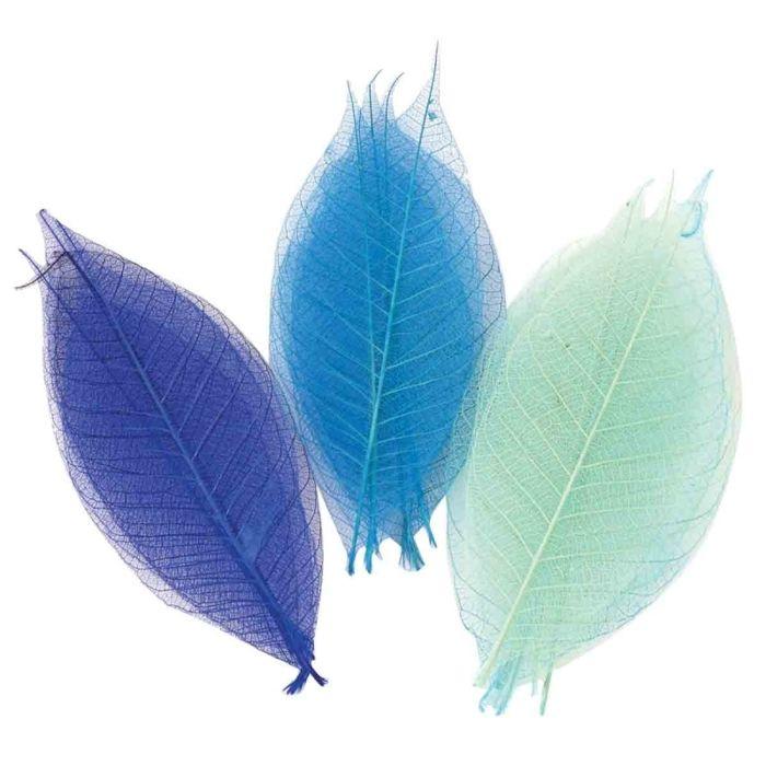 Squelettes de feuilles Assortiment Bleu 8 cm 20 pièces