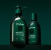 ViveLab 4 Weeks Solution Green Hair Loss Shampoo Woody Floral Musk (300ml / 500ml)
