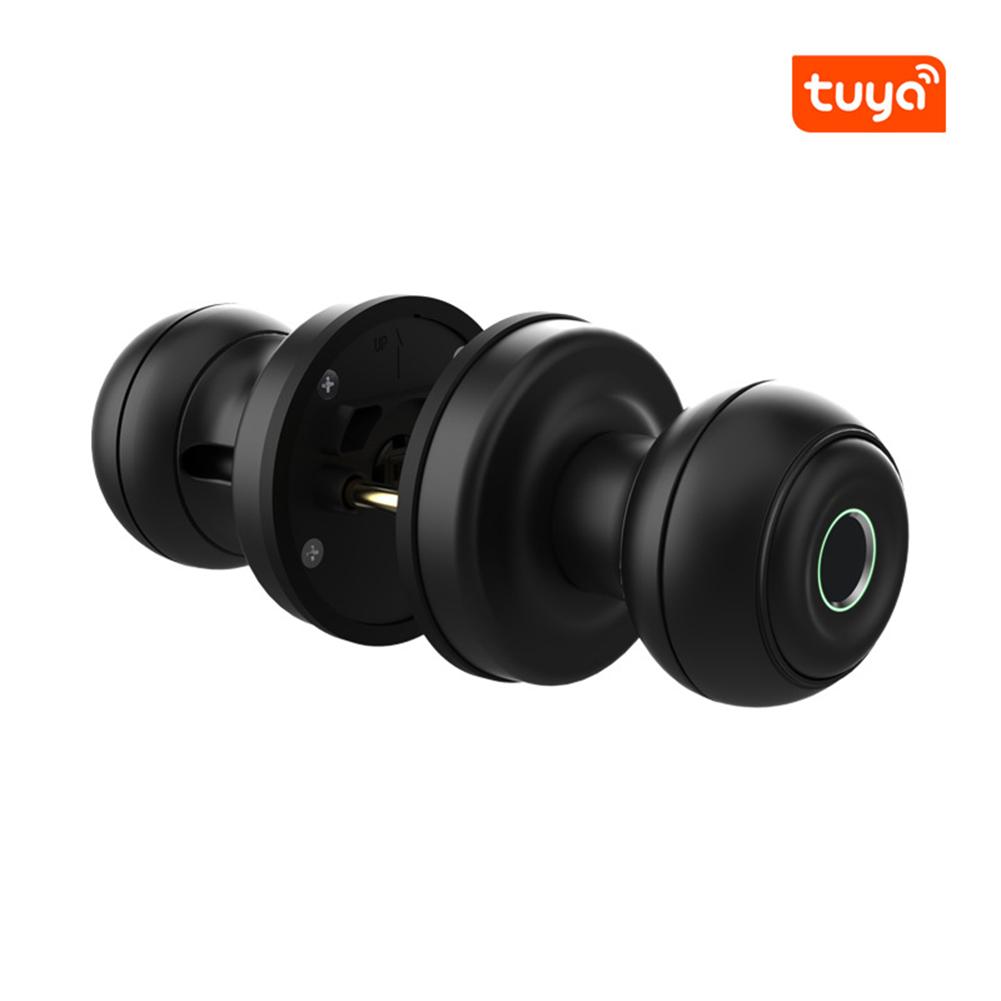 Tuya Electronic Door Lock with Password Wifi Biometric Tuya App Remote Unlocking Keyless Lock Fingerprint for Home Office Door