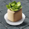 Plastic Flower Pot Tray With Pet Material And Dustproof Design For Garden And Home Use