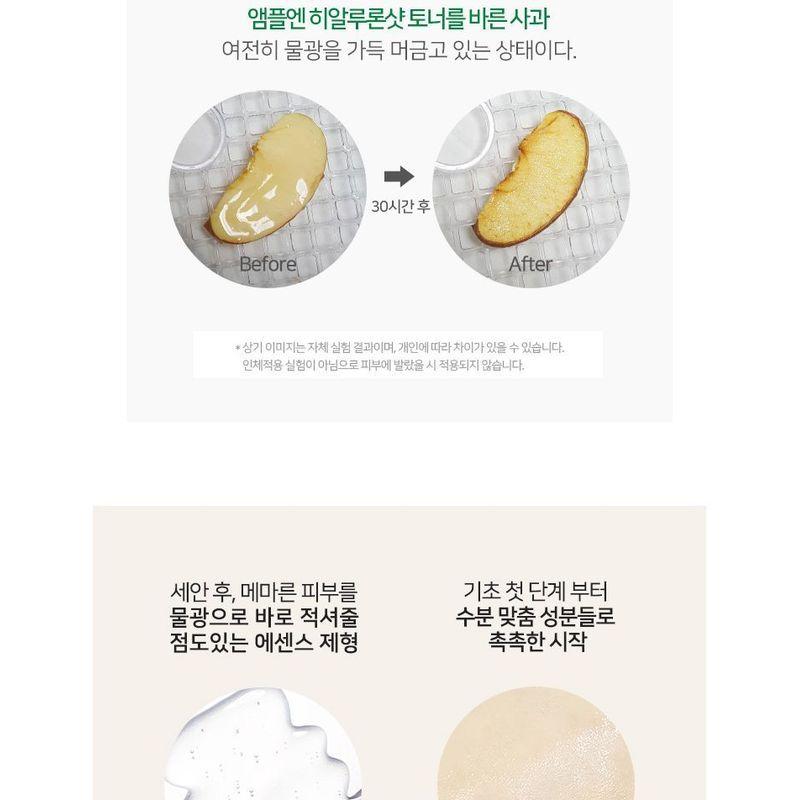 REICHLICH: N - Hyaluron Shot Toner