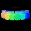 Glow in the Dark Paint,Acrylic Paint for Decorations,Art Painting Rich Pigments