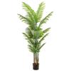 Popular Indoor Areca Palm Potted Plant - Large Green Decoration for Living Room