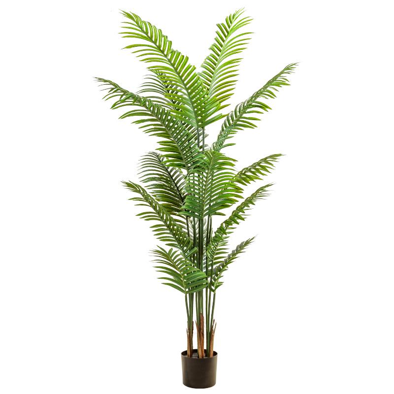 Popular Indoor Areca Palm Potted Plant - Large Green Decoration for Living Room