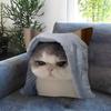 Cute Funny Cat Meme Maple Design Cushion Cover Happy Autumn Harvest Decor Holiday Decorati Pillow Cover