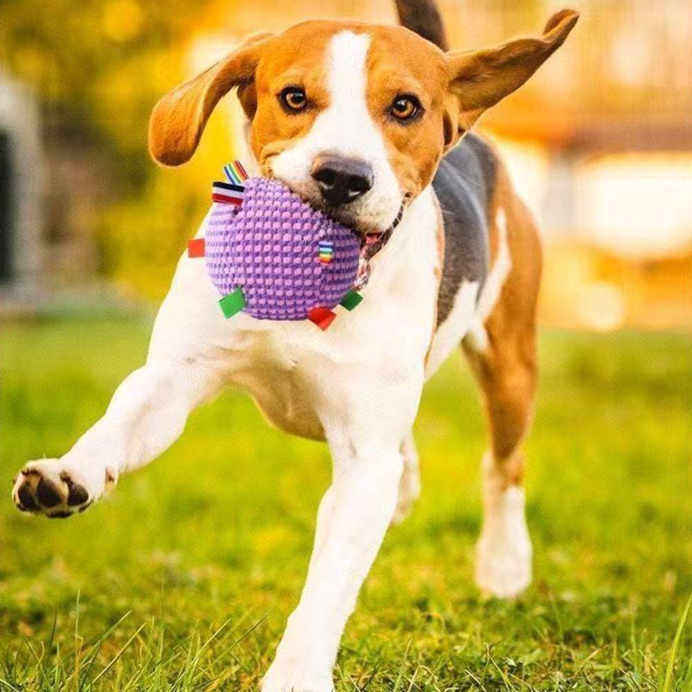 Bite-resistant Plush Dog Vocal Toy Ball Creative Pet Shake Sound Toy  Relieve Boredom
