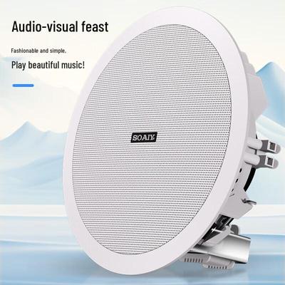Soaiy XD-1561Y Bluetooth 6.5-inch Ceiling Speaker System CN Plug (adapter Included)