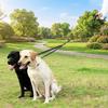 Stretchable Double Head Dog Rope Nylon Elastic Traction Rope Double Headed Leash  Small Dogs