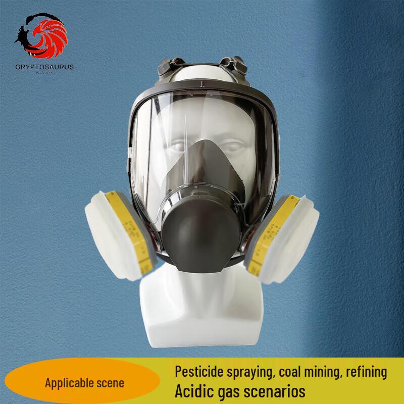 Eagle Mouth Dragon 6800 Gas Mask 7-Piece Set