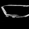 Car Headlight Cover For VW Polo Eu Version 2021-2025 Auto Front Headlamp Lens Cap Transparent Lampshade Glass Lamp Hood Shell