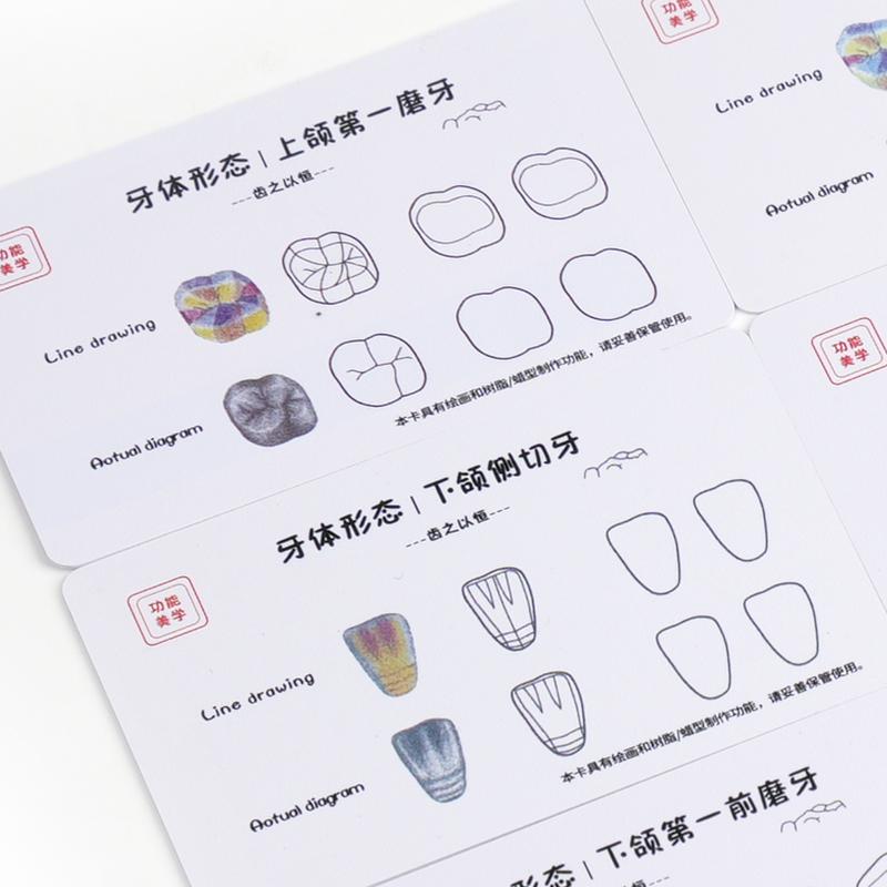 9Pcs Dental Composite Resin Filling Template Teeth Anatomical Model Board Build Up Restoration Cavity Practice
