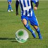 Premier League World Cup Youth Training Size 5 PVC Football