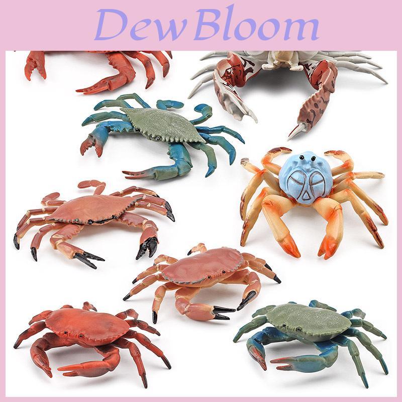 Zee Dieren Simulatie Krab Beeldjes Perfect Voor Creatief Leren En Decor