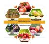GY Precision Fruit Hardness Tester Portable Handheld Ripeness Detector