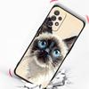 Daily Life of Cats Phone Case For Samsung Galaxy A17 A07 A55 A35 A25 A15 A05s A33 5G A31 A23 A21s A13 A41 A73 A53 A51 A71 Cover