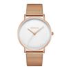 GENEVA Unisex Fashion Trend Mesh Band Watch - Casual Couple & Student Style