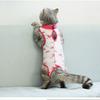Post-operative Recovery Clothing For Cats