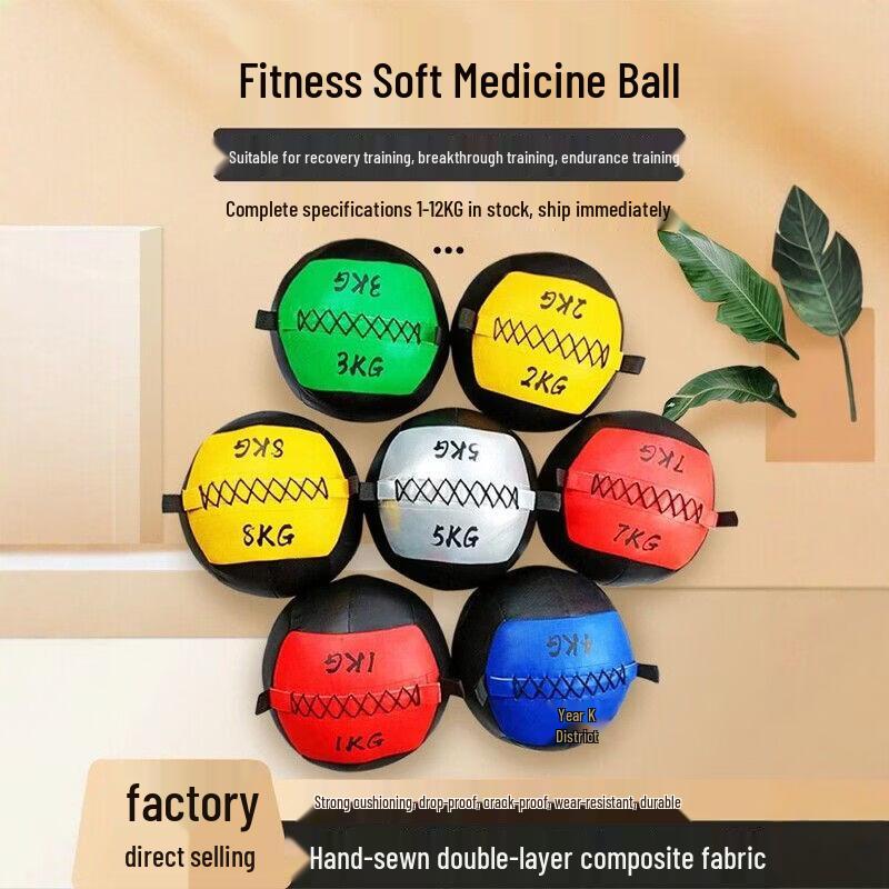 Jianli Weighted Medicine Wall Ball