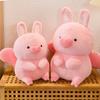 Plush Toys, Cute And Perfect Birthday Gifts For Friends And Classmates, Graduation Gifts