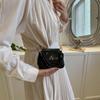 Chic Mini Bag With Quilted Design And Stylish Chain Strap For Everyday Use