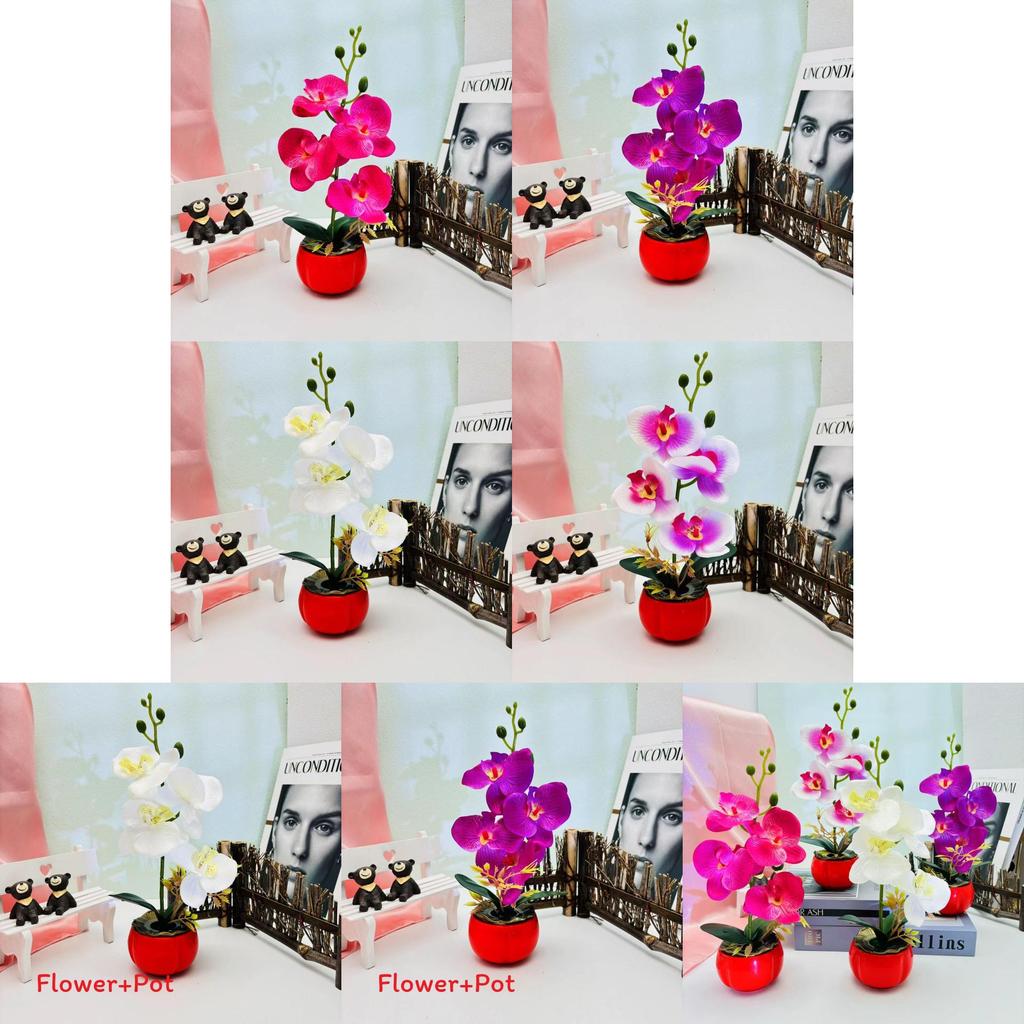 Phalaenopsis Kunst-Topfpflanze für Heim-, Büro- und Deko für besondere Anlässe