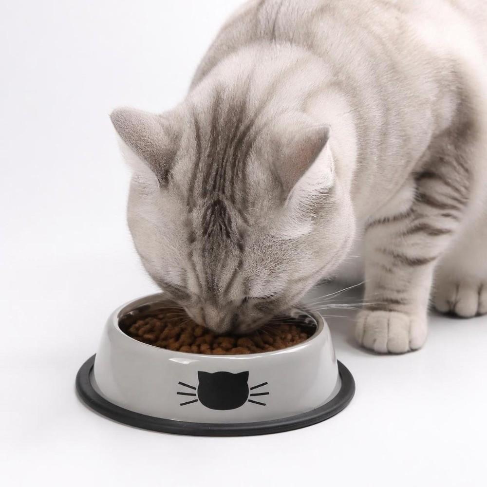 Non-slip Base Anti-dumping Cat Bowl Stainless Steel Dog Bowl Durable Steel Pet Bowl dog