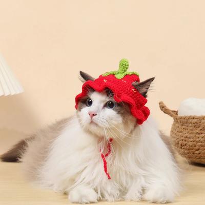 Sonbahar Kış Kedi Şapka Elastik Sevimli Rafine Pet Şapka Köpek Yavrusu Örme Şapka Parti Fotoğraf Çekimi Sahne Dekorasyon Kedi Aksesuarları