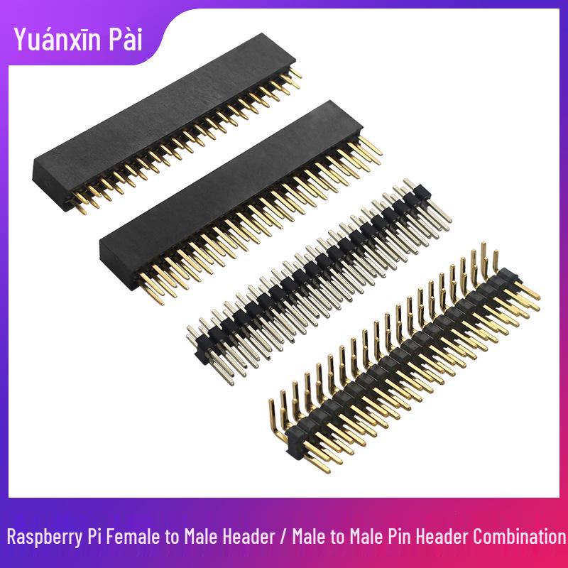 Raspberry Pi 40-Pin GPIO Expansion Adapter: Female To Male & Male To Male Pinout for Soldering Experiments