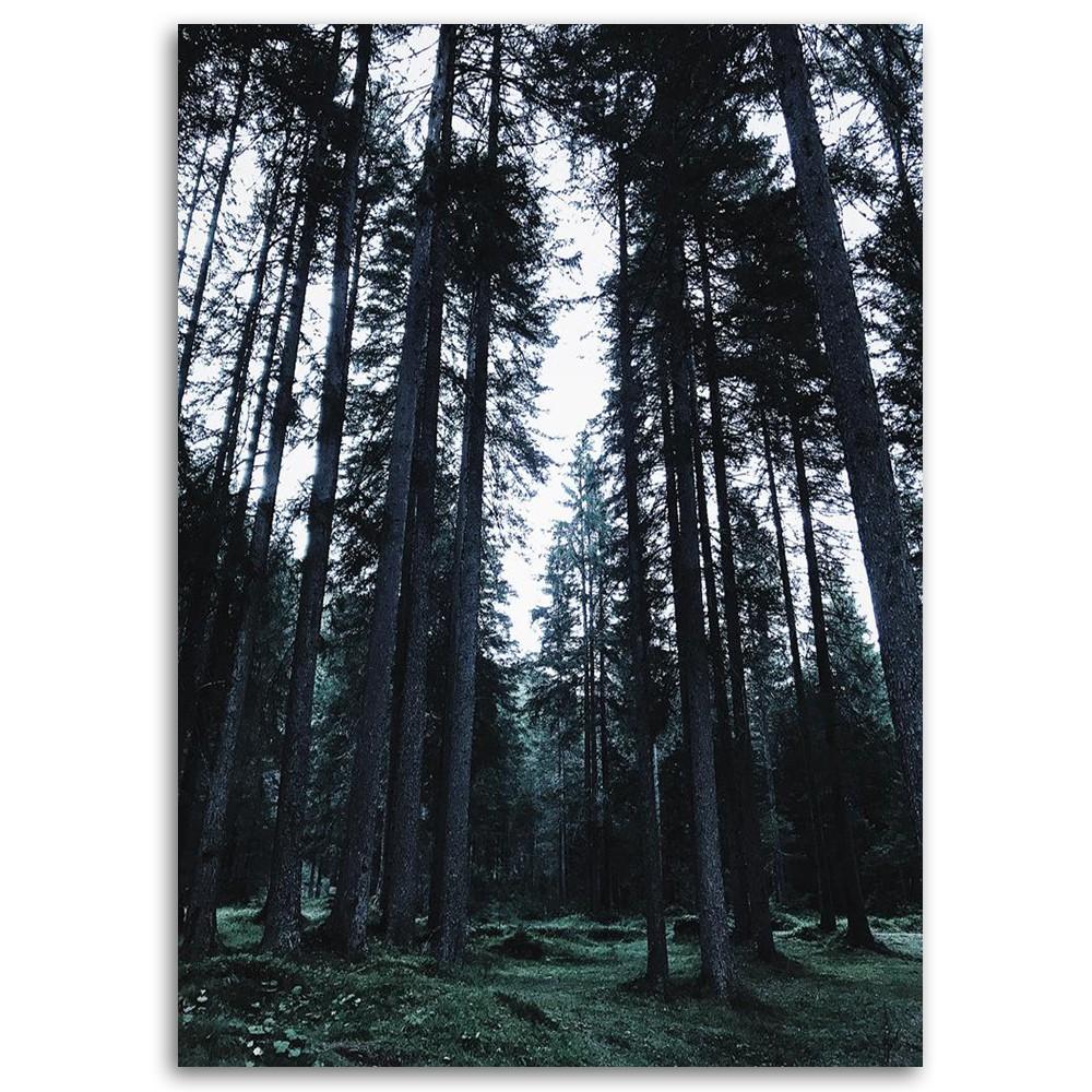 Canvas Print Forest On a Cloudy Day