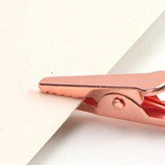 3 Bracelet Chain Fastener Helper Clip Pcs Bracelet Necklaces Assistance Tool