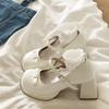 2026 New Spring Thick Heel Women Mary Jane Shoes Ladies Fashion Outdoor Butterfly-knot Shoes Women's Elegant Wedding Party Pumps