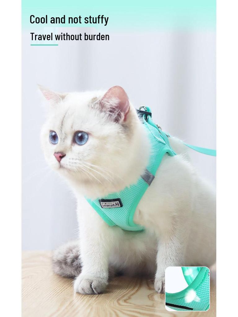 Ausbruchsicheres Katzengeschirr & Leine für kleine Hunde - Outdoor-Spazierleine für Teddy & Bichon Frise