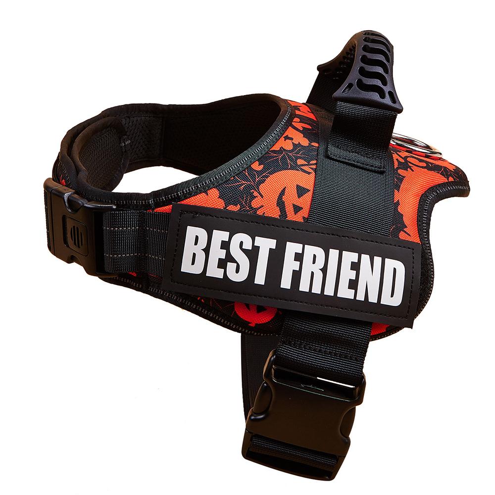 Süßes Haustiergeschirr Halsband für Welpen und Kätzchen Kleiner Hund Reflektierendes Westengeschirr Outdoor-Gehen Anti-Verlust Corgi Labrador Chihuahua