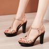 Taglia Grande 32-43 Scarpe da Donna con Tacco Alto Sandali da Donna Estivi con Punta Aperta Décolleté da Donna Scarpe da Donna da Ufficio per Matrimonio e Festa