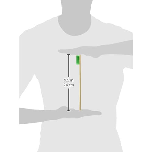 Takagi Bamboo Handle Nylon Brush, Toothpicks, 3 Rows