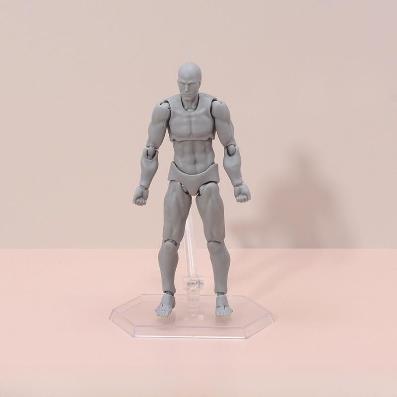 Figma Body Drawing Tool Male Female Action Figure Pvc Model For Artists And Collectors